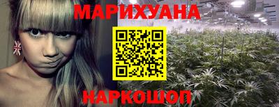 гашик Пушкино