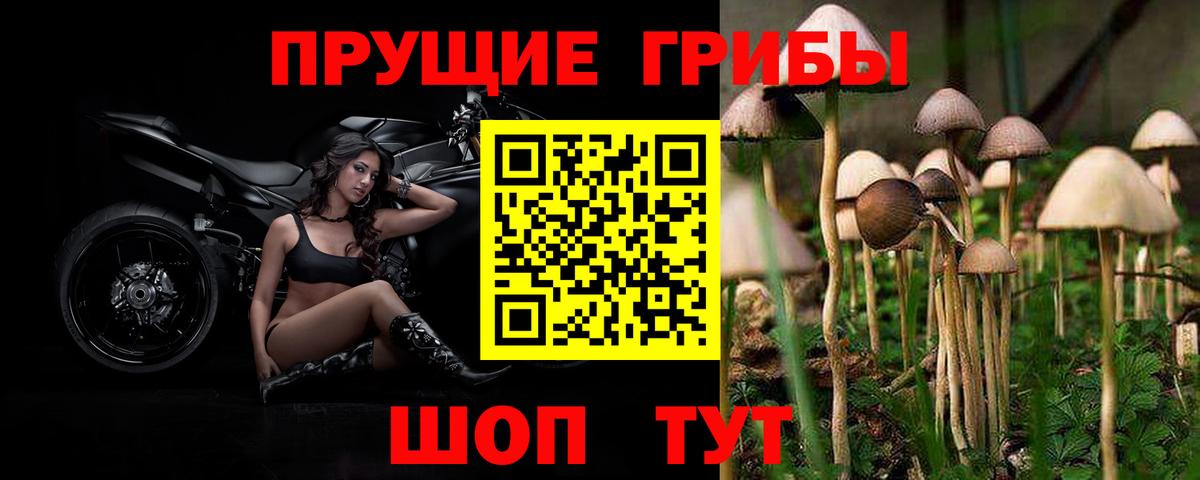 Псилоцибиновые грибы мухоморы  Псилоцибиновые грибы прущие грибы  Вход с VPN  Тавда 